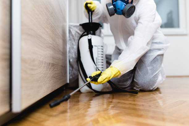 Best Local Pest Control Services  in Waynesboro, VA