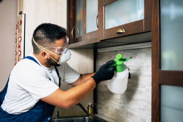 Best Wasp Removal Services  in Waynesboro, VA