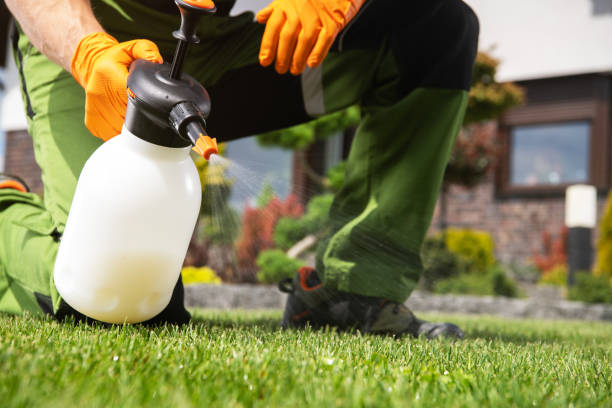 Best Ant Control Services  in Waynesboro, VA