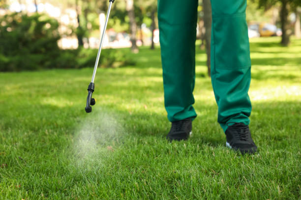 Best Pest Prevention Services  in Waynesboro, VA