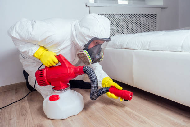 Best Flea Control Services  in Waynesboro, VA