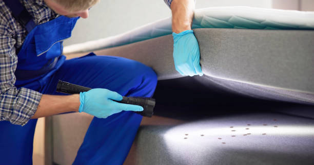 Best Rat Extermination Near Me  in Waynesboro, VA