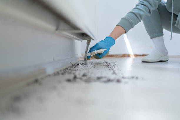 Best Pest Removal Services  in Waynesboro, VA