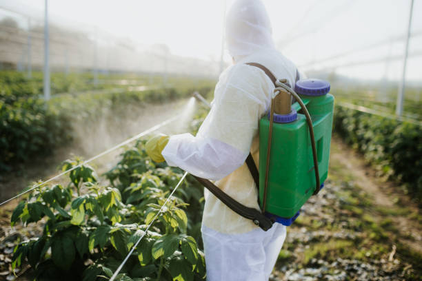 Best Best Pest Control Companies  in Waynesboro, VA